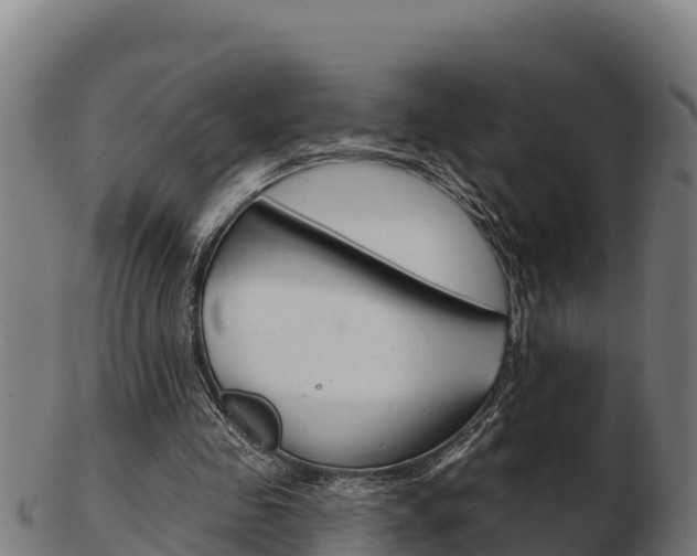 X0000103460341200809121102