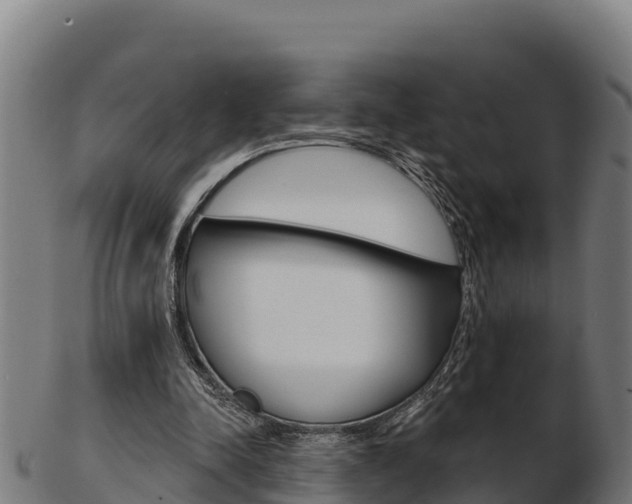 X0000103460342200809121102