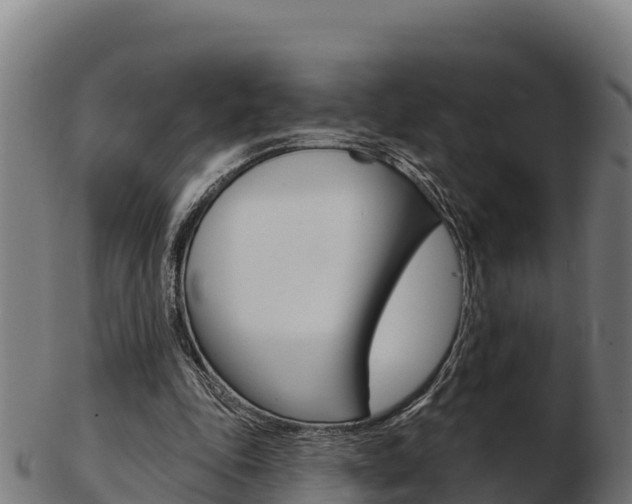 X0000103460343200809121102