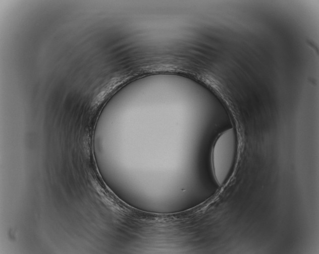 X0000103460345200809121102