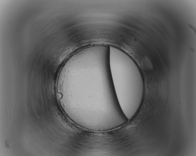X0000103460347200809121102