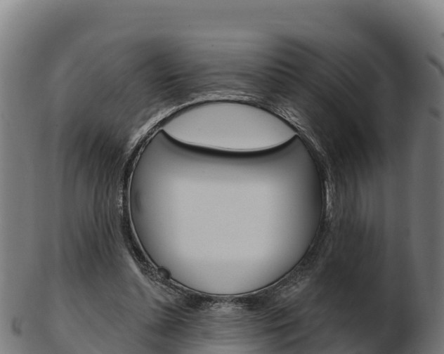 X0000103460348200809121102