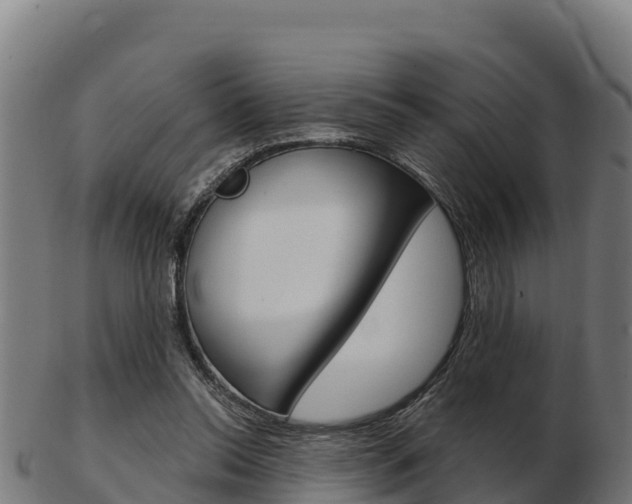 X0000103460350200809121102