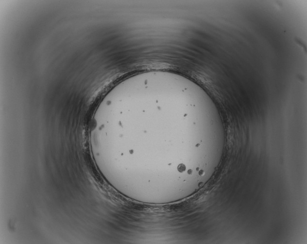X0000103460351200809121102