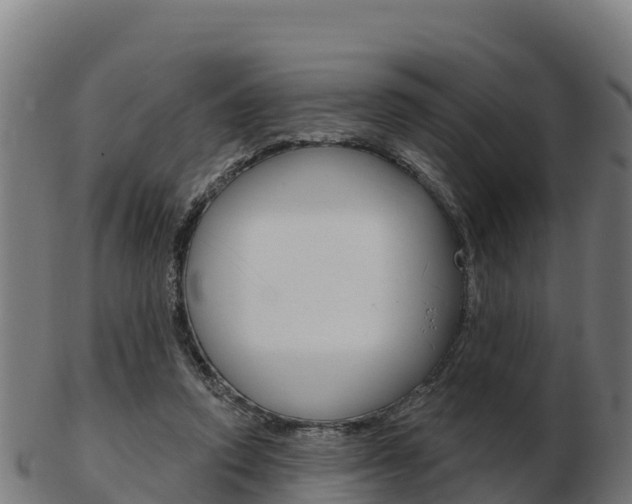 X0000103460354200809121102
