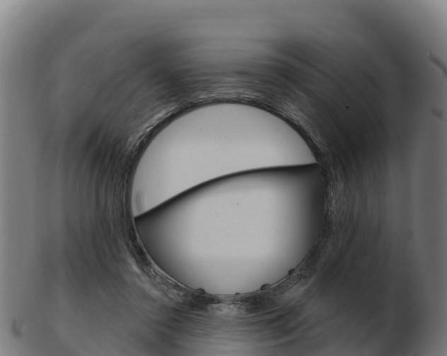 X0000103460356200809121102