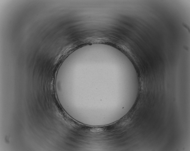 X0000103460357200809121102