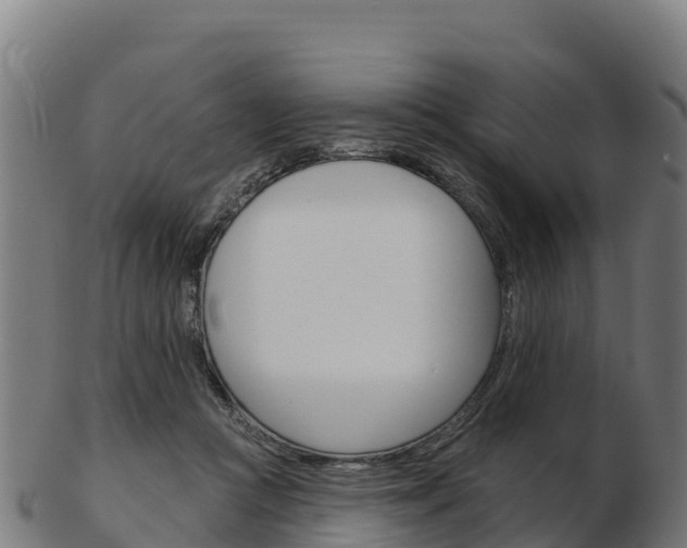 X0000103460361200809121103