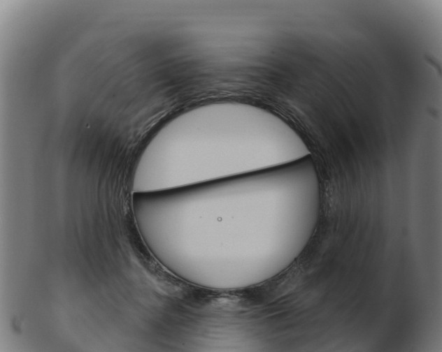 X0000103460364200809121103