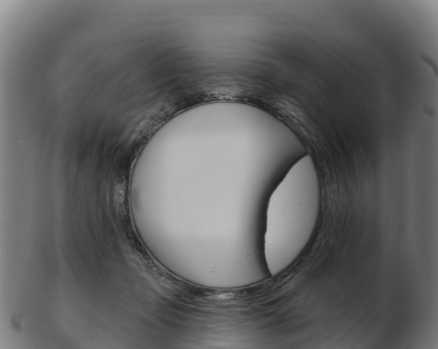 X0000103460365200809121103