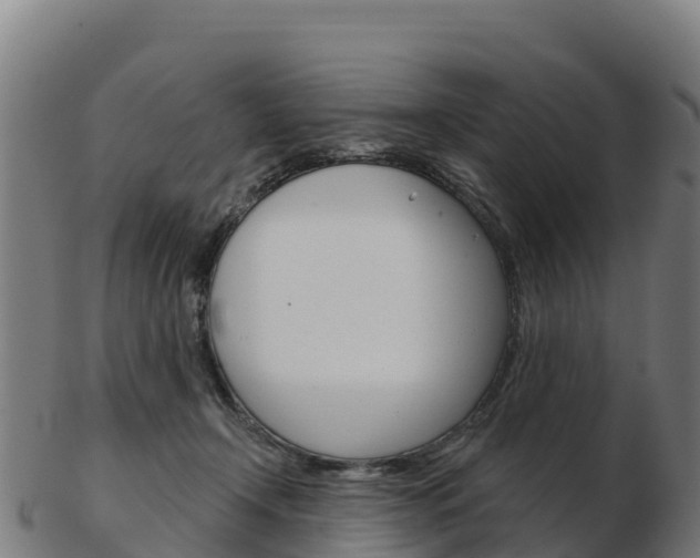 X0000103460366200809121103