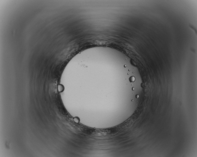 X0000103460368200809121103