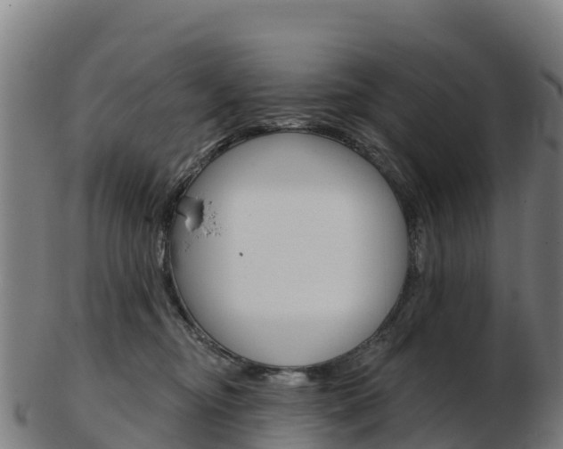 X0000103460374200809121103