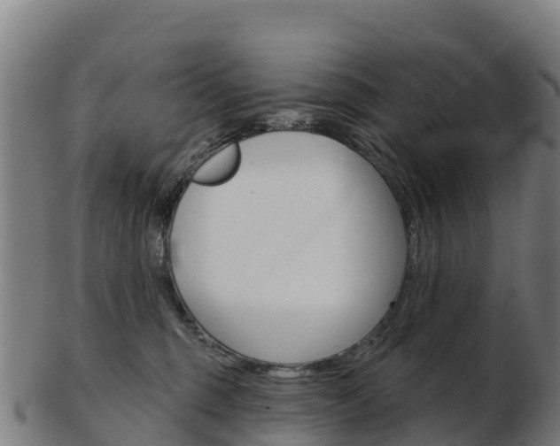 X0000103460375200809121103