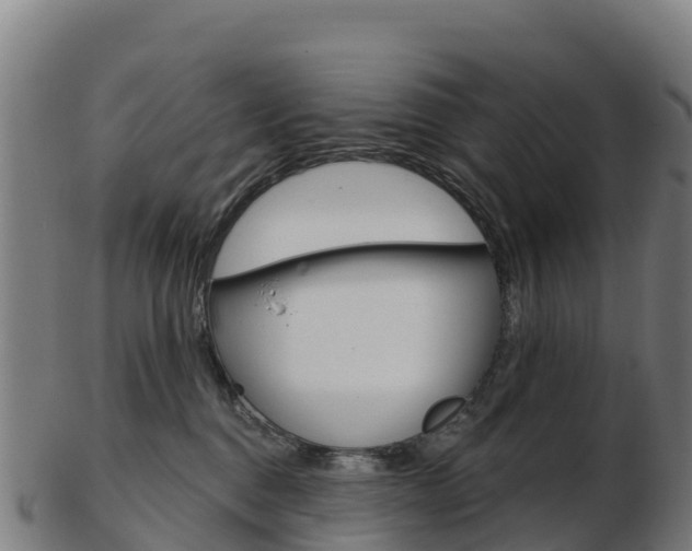 X0000103460376200809121103