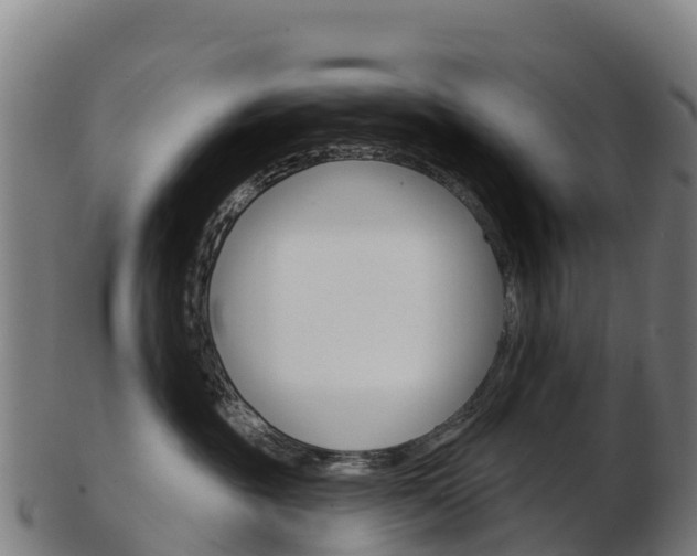 X0000103460381200809121103