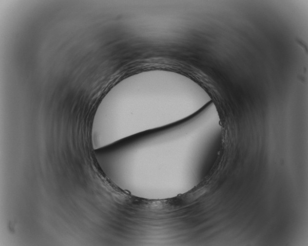 X0000103460382200809121103