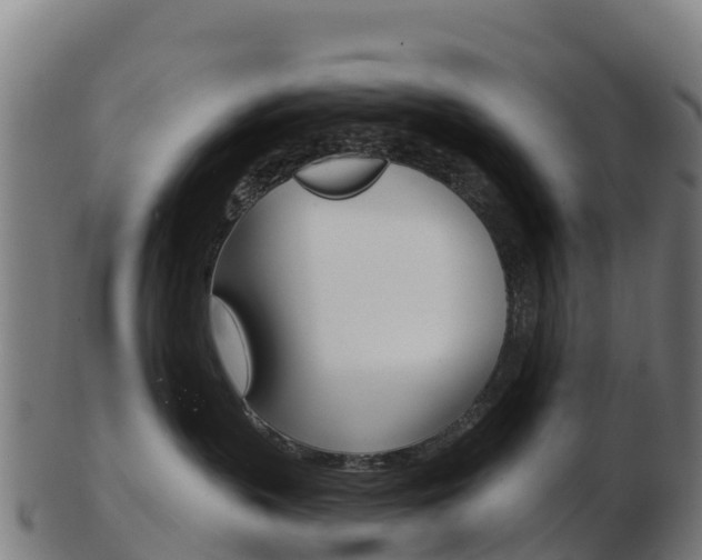 X0000103460383200809121103
