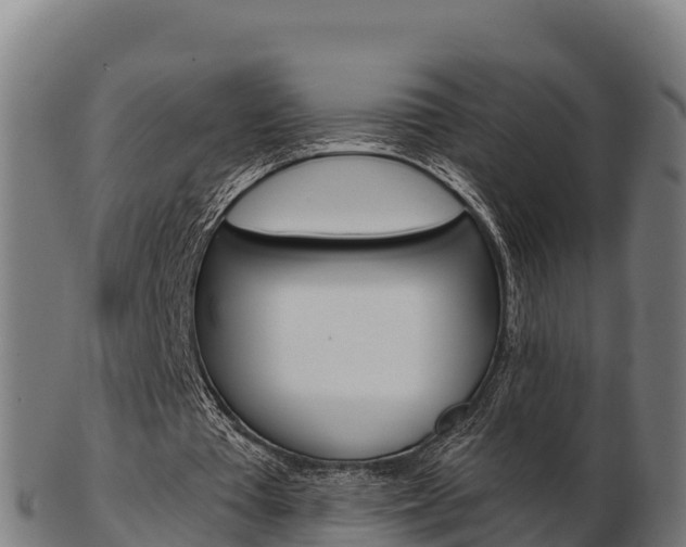 X0000103460385200809121102