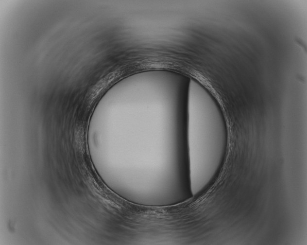 X0000103460386200809121102