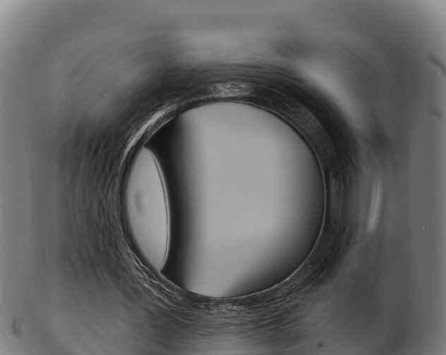 X0000103460387200809121102