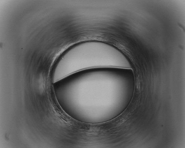 X0000103460388200809121102
