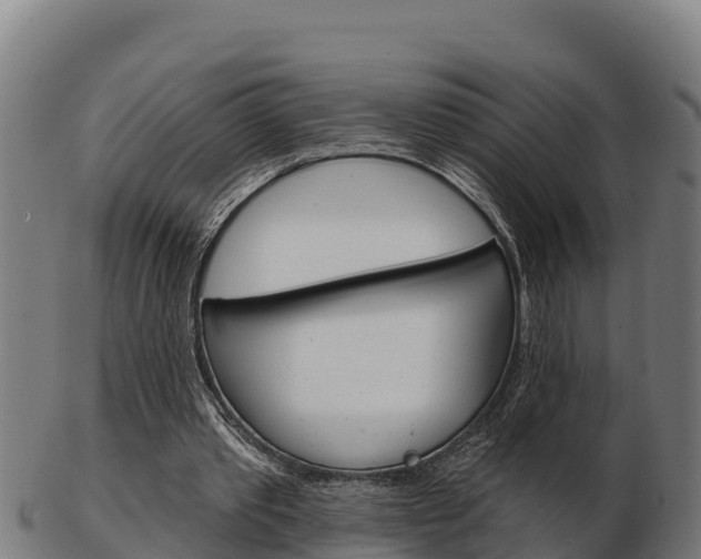 X0000103460389200809121102