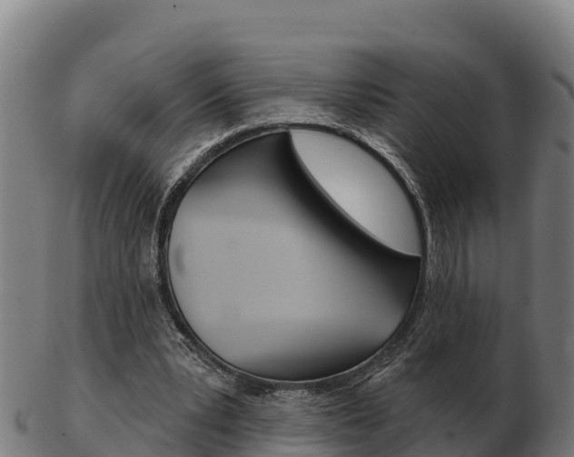 X0000103460391200809121102