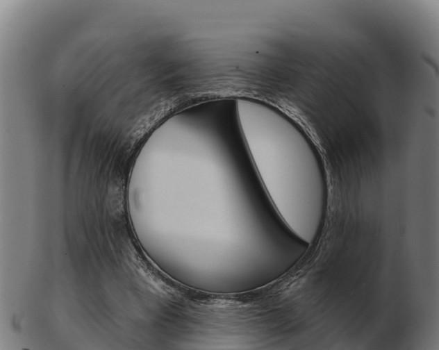 X0000103460393200809121102