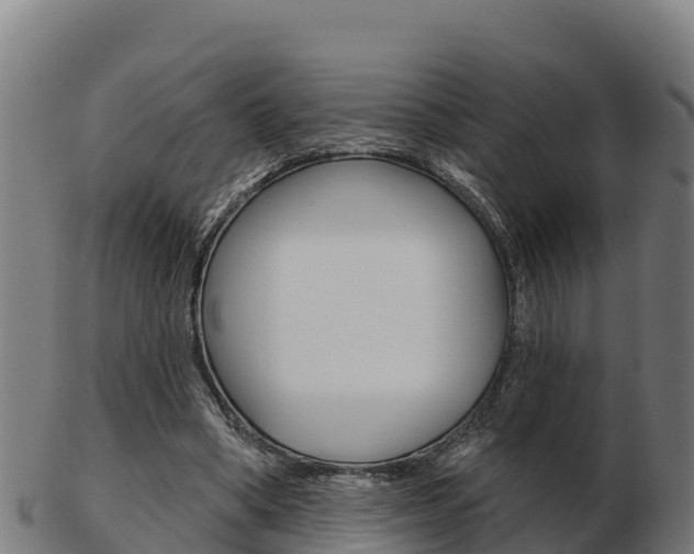 X0000103460394200809121102
