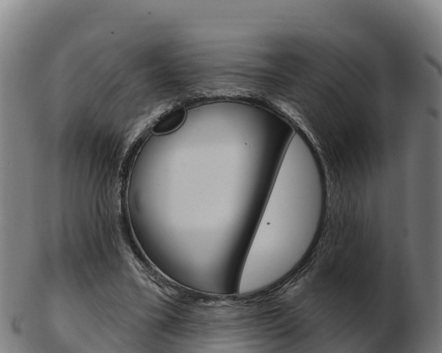 X0000103460395200809121102