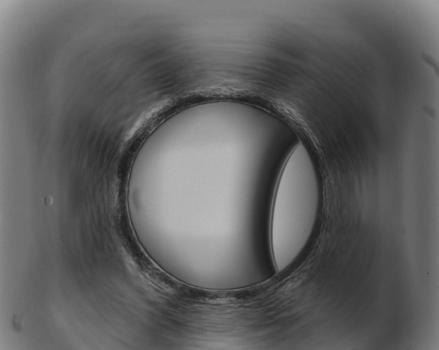 X0000103460396200809121102