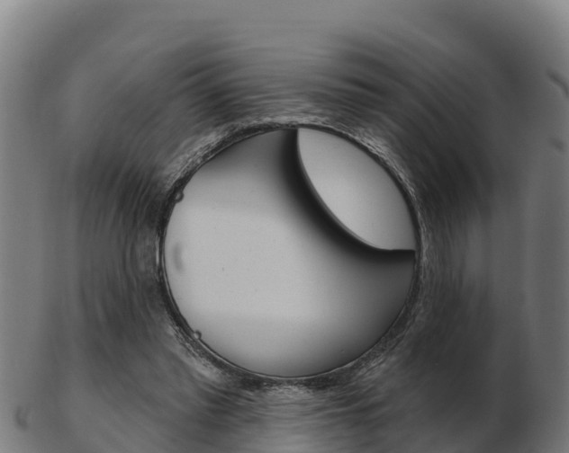 X0000103460397200809121102