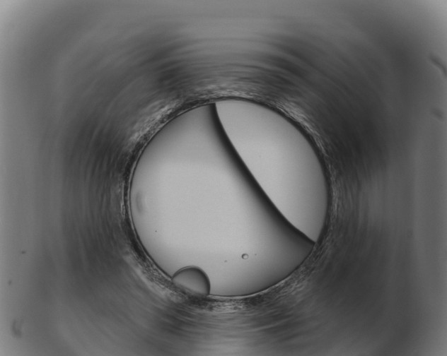 X0000103460398200809121102