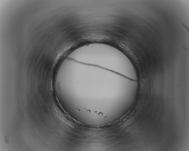 X0000103460399200809121102