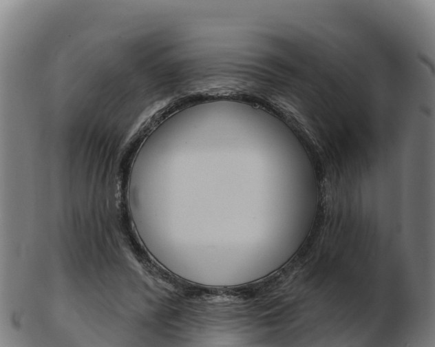 X0000103460400200809121102