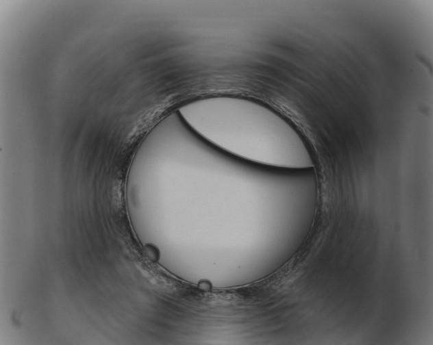 X0000103460401200809121102