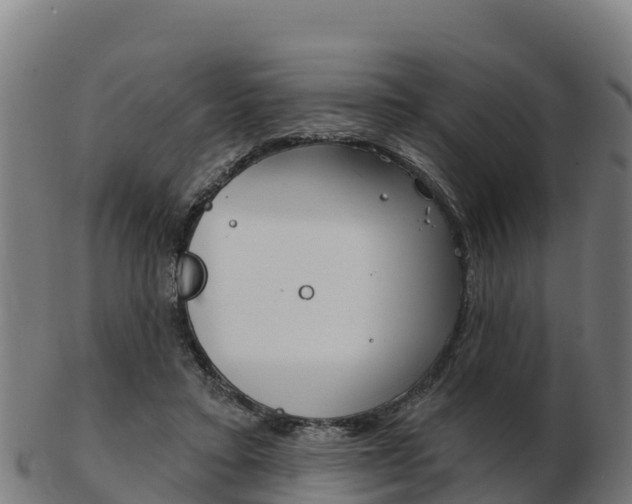 X0000103460403200809121102