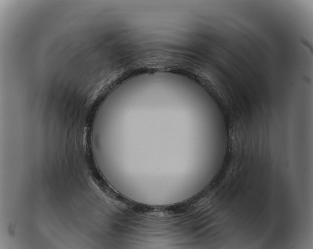 X0000103460404200809121102