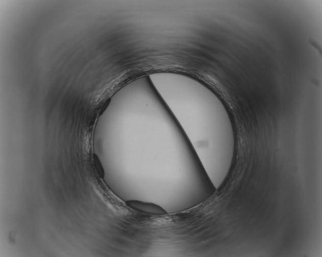 X0000103460405200809121102