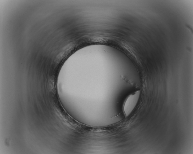 X0000103460407200809121102