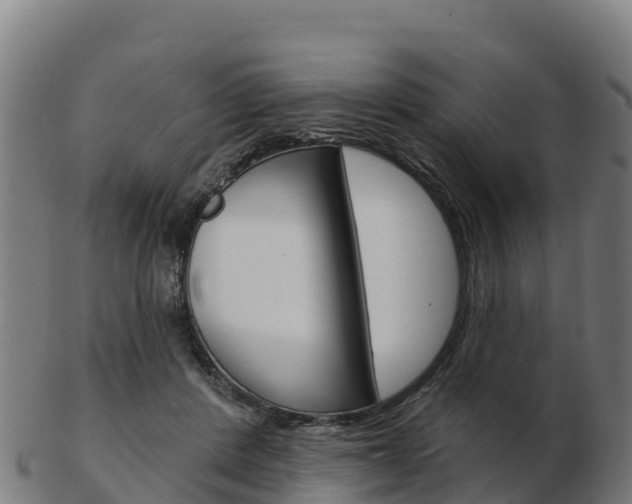 X0000103460408200809121102