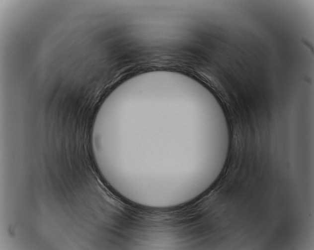 X0000103460409200809121102