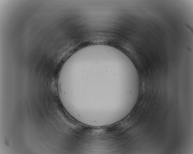 X0000103460411200809121102