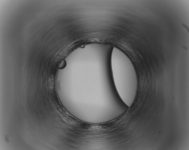 X0000103460413200809121102