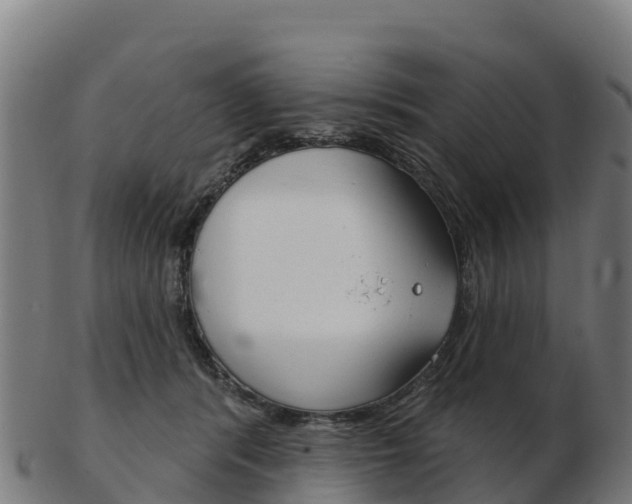 X0000103460416200809121102