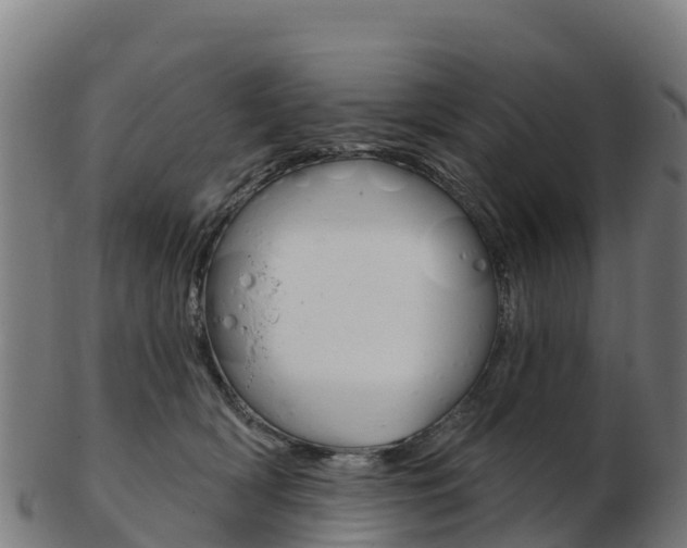X0000103460418200809121102