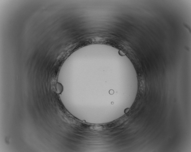 X0000103460419200809121102