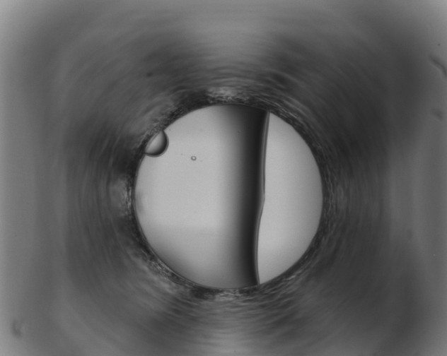 X0000103460420200809121102