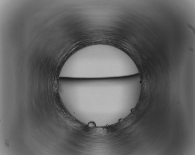 X0000103460421200809121102